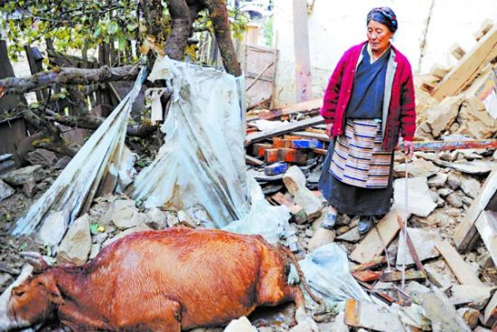 印度6.8级地震至少致50人遇难 西藏7人遇难