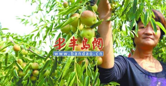 ����մ�����滹û��ð�ƻ����û���25Ԫһ��