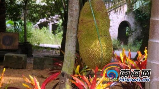 ������3���䲤�������ᡰ�޹�����50���0.7��