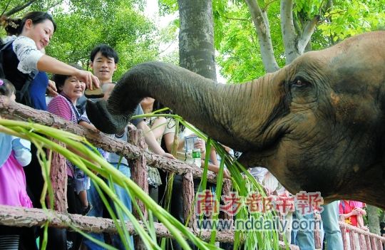 逛动物园 还是