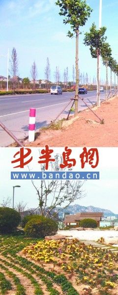 �Ƶ��庣��������סլ¥������"����"������