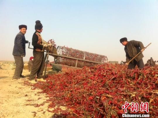 吐鲁番利用阳光资源自然形成“农产品凉嗮”场