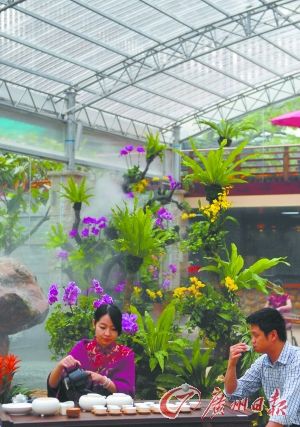 广州首家园林花卉超市受市民热捧 3000元扮靓
