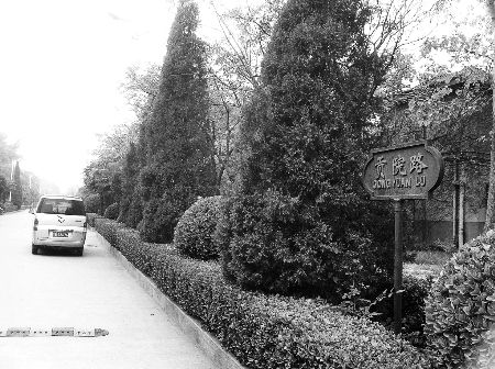 �빱Ժ��������ؤ������