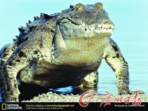 ��������¼��²����³�