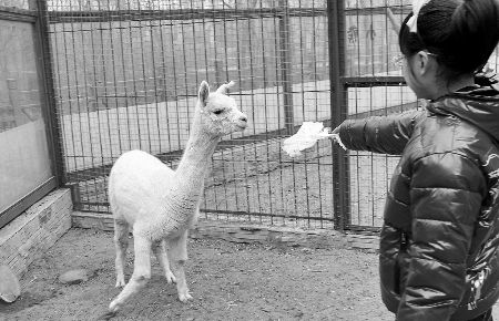 ���������ޡ����������״��ڽ�������