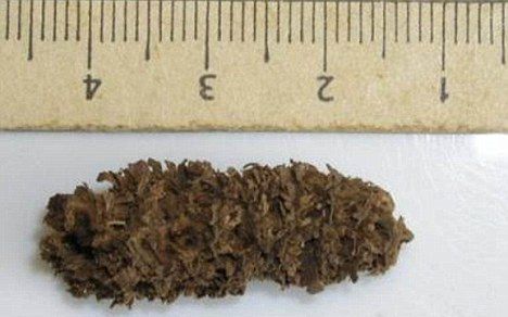 ��³����"Զ��"���׻��������������Լӹ�����