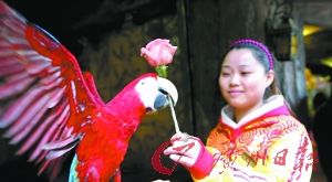 ���ĵ�ý��Ϊѱ���˴�������