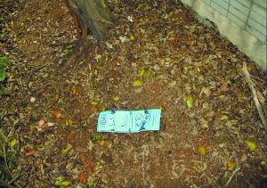 ��֤�ݳ��������������߱�����20��