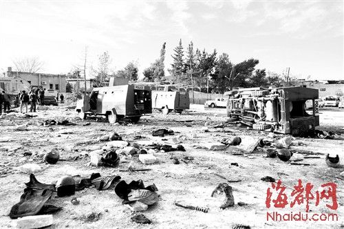 ���������Ƿ�����𷴶���