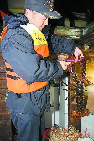 ��˽�ߵ�����60�䱻�ذ�ֵԼ22��Ԫ