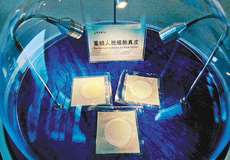 �˹�Ƥ����Ʒ����ʵ�ֲ�ҵ������