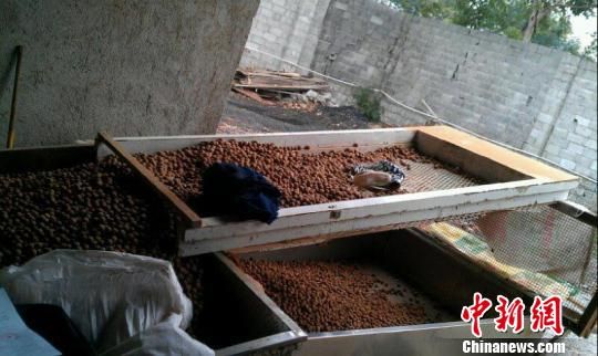 ��������ȡ�޴��ʹ��ͷǷ��ӹ����������Բ��