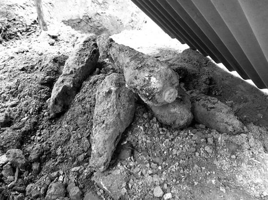 饶阳农家院里挖出炮弹