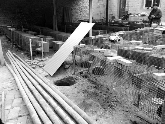 饶阳农家院里挖出炮弹