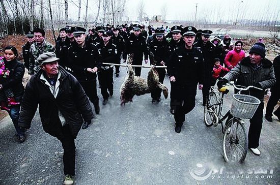 ɽ�����ݷ���������ҧ�˴����¼�