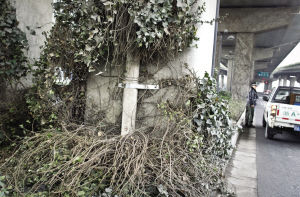 ˭�µĺ��֣�