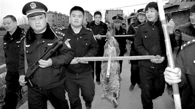 ����Ұ��һ���غ�