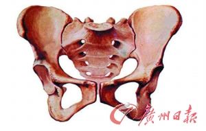 �����������˻���������֢