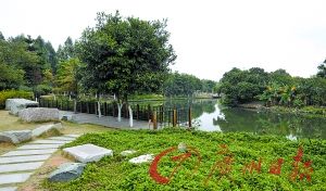 ��Ķ��԰���ز��պ��������