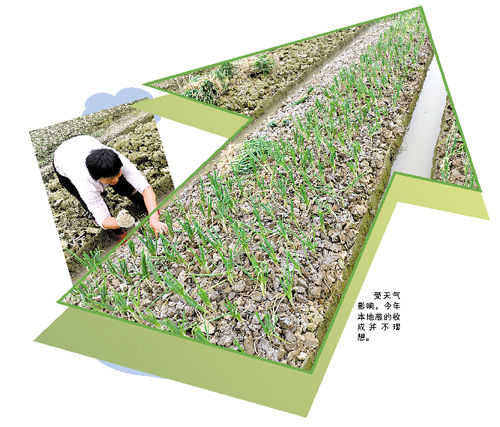 ���С�������