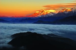 ʳ������