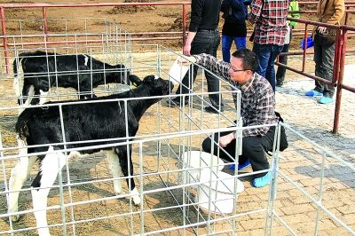 �����������˴�ר��