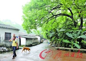 ̽�ظ�������Ȯ������ɽ��