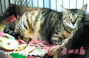 ��è�����ضȾ�ϵ��O����