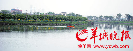 ����Ķ��԰���ؽ�"ֻ����ת"��ȫ���Ⱥ�