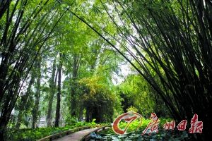 ֲ��԰��������ȡ���д�