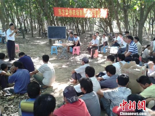 海南东方华侨农场开设农业技术培训班开班