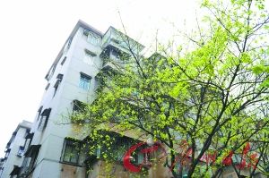 С���Ͷ��ַ�Դ�����ֻ�