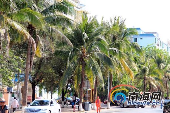 ����Ҭ��ȾҬ��Ҷ����ҵ���ţ��޷����οɿ���