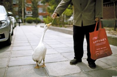 ������Щ��