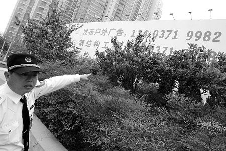 �����ǰһ����ľ�⡰��֫����ͷ��