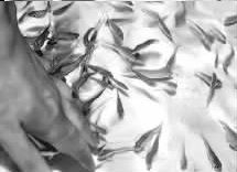 ��Ȫ���ƣ�����ҧ��ҽ�ƾ���