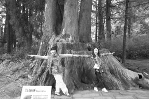 ���и�̨�������ݶ�5��7���׷�