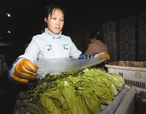 �޵������Ҷװ�ϡ���ƿ������