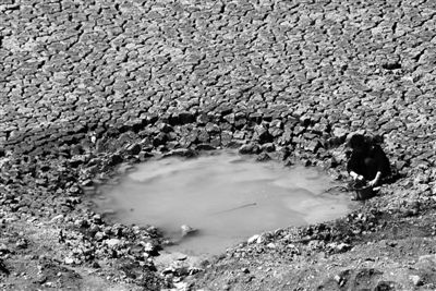 �ú�����