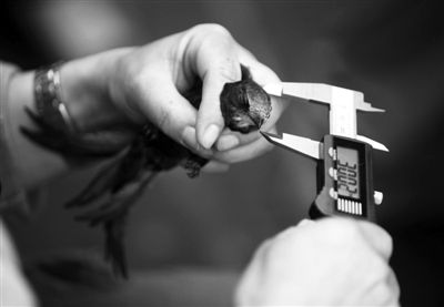 �ú�԰�����ཨ���䡰����֤��