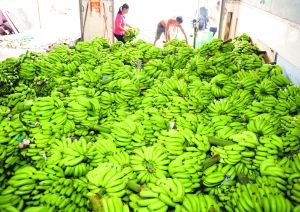 ���⡰������