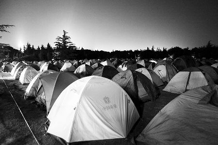 ¿�����������