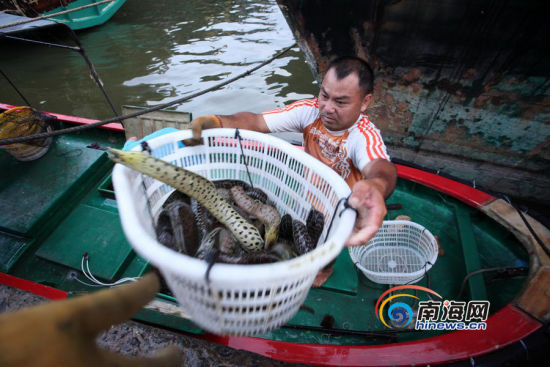 夏天天天睡地板