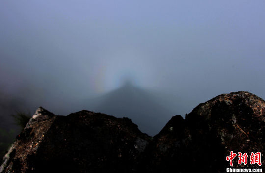 ��ɽ���ȳ�̨��ʦ�����Ż����߿�����Ʊ��80Ԫ