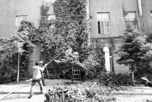 ���ݶ��ɴ�22����ɽ������