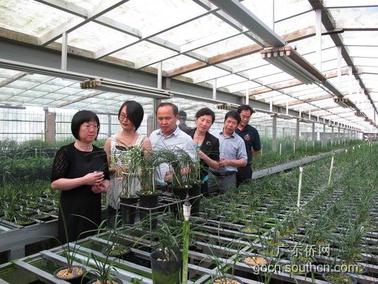 广东省侨办副主任:汕头侨务在四个方面大有可为