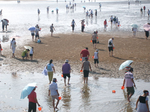 ������Ϻ�԰