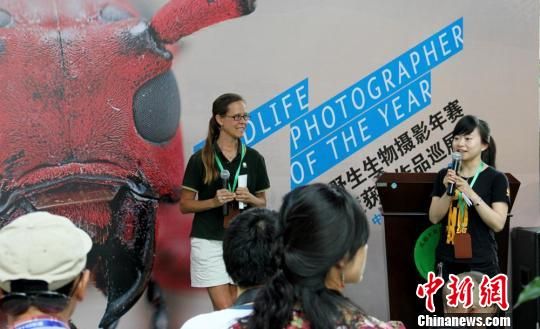 �ɶ�����Ӣ��Ұ��������Ӱ����2011��Ȼ���ƷѲչ