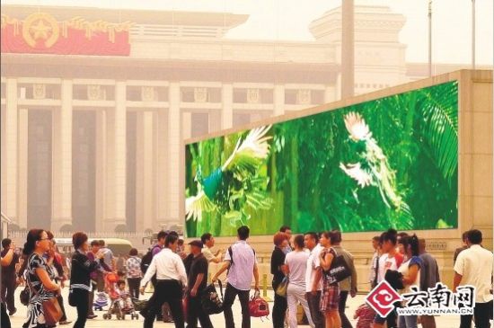 天安门广场大屏幕滚动播放公益宣传片:云南,一个美丽的地方